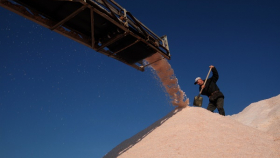 Россия внесла соль в список санкционных продуктов