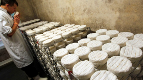 В Краснодарском крае открыли производство элитных сыров