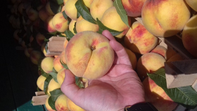 Россельхознадзор может ограничить экспорт сербских фруктов