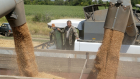 Минсельхоз прогнозирует экспорт зерна в 44 млн