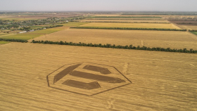 В Краснодарском крае на поле появился логотип World of Tanks