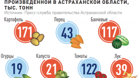 Астраханцы половину собранных овощей реализуют за пределами региона