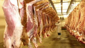 «Евродон» откроет мясной завод в Южной Осетии