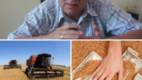 Юрий Паршуков: Цена на зерно должна быть не ниже 2013 года