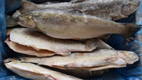 Россельхознадзор ограничит экспорт из рыбного предприятия Турции