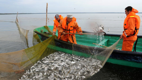 Рыбная продукция из Крыма начала завоевывать мировой рынок
