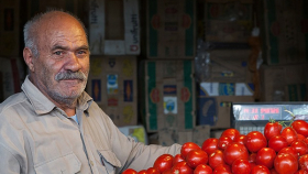 Минсельхоз утвердил объем поставок турецких томатов до 2018 года