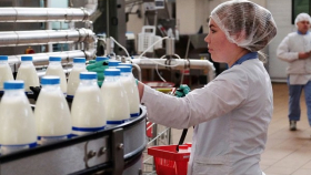 Эксперт: рентабельность производства молока в РФ на неплохом уровне