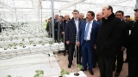 В Дагестане открылся тепличный комплекс компании ООО «АгроМир»