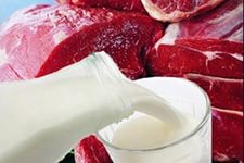 Белоруссия намерена поставить в России молока и мяса более чем на 2 млрд. долл.