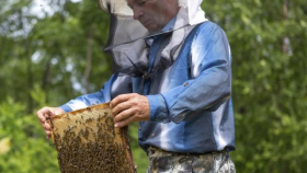 В Адыгее заработал Национальный союз пчеловодов