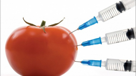 Россия сможет обойтись без ГМО в течение 100 лет - ученые