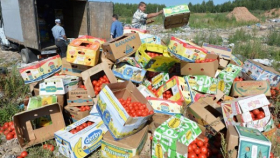 Путин назвал уничтожение санкционных продуктов поддержкой аграриев