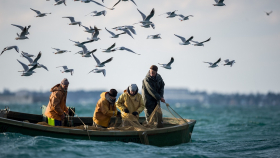 В России начали лишать иностранцев квот на ловлю рыбы