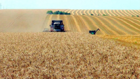 На прошлой неделе просели экспортные цены на российскую пшеницу
