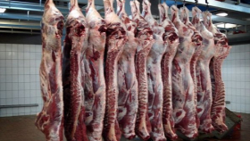 В Подмосковье не пустили крупную партию опасного мяса из Аргентины