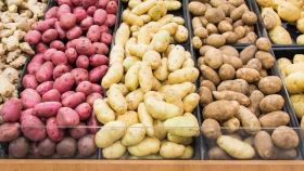 В Германии из-за плохого урожая продолжит дорожать картофель