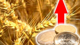 Минсельхоз предупредил о возможном росте внутренних цен на зерно