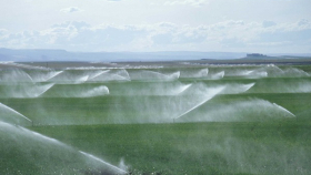 Ученый: вода из скважин навредит почве в Крыму