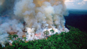 Катастрофа Амазонки: «легкие» планеты горят по заказу Китая