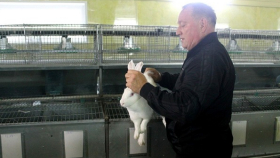 Сахалинский фермер открыл первую в области кроличью ферму