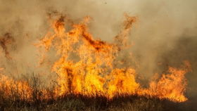 В Волгограде потушили пожар, угрожавший трем дачным поселкам      