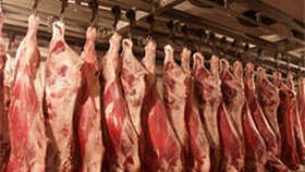 Татарстан расширяет перерабатывающие мощности по мясу