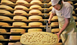 В России поддельными оказалось 60 процентов сыров