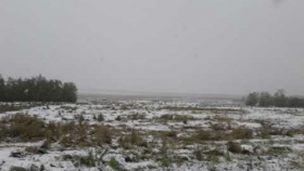 Ранний снегопад нанес убытки сельскому хозяйству Якутии