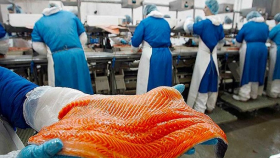 На Чукотке появится завод по переработке красной рыбы
