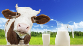 Ярославская область за три года увеличит производство молока на 28%