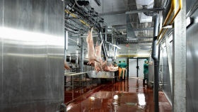 В Старом Осколе заработал новый завод по глубокой переработке мяса