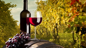 Грузия увеличила поставки вин в РФ в два раза