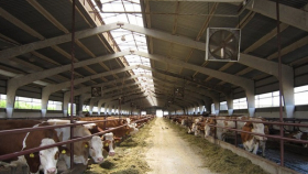 В Ульяновской области откроют новую молочную ферму
