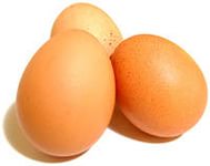 В Липецкой области создадут своё производство инкубационного яйца