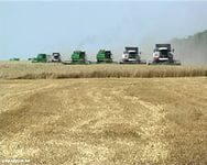 В Ростовской области собрали рекордный за последние десятилетия урожай зерновых