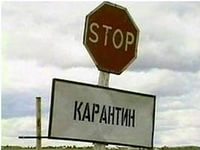 Карантин снят в 3 районах Ростовской области