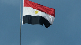 Египет не получал запрос на визит делегации Россельхознадзора