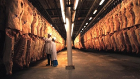 Бразилия может потерять от эмбарго мяса до 1,5 млрд долларов в год