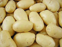 Россия ввела эмбарго на украинский картофель