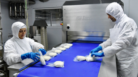 Сырный кластер в Подмосковье будет выпускать 12,5 тыс тонн продукции