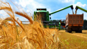 Минсельхоз повысил прогноз по урожаю зерна в РФ до 106 млн тонн