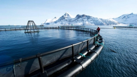 Россия и Норвегия подпишут в Мурманске соглашения по аквакультуре