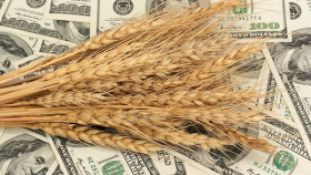 В США котировки на пшеницу выросли на проблемах с урожаем
