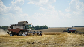 «Мираторг» на 20% расширит площадь зерновых в Калининградской области