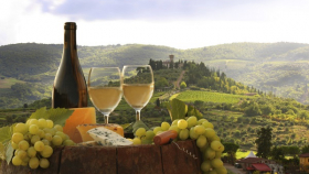 Европейские специалисты научились определять подлинность вина