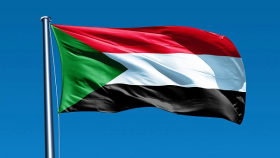 Судан хочет расширить ассортимент сельхозэкспорта в Россию