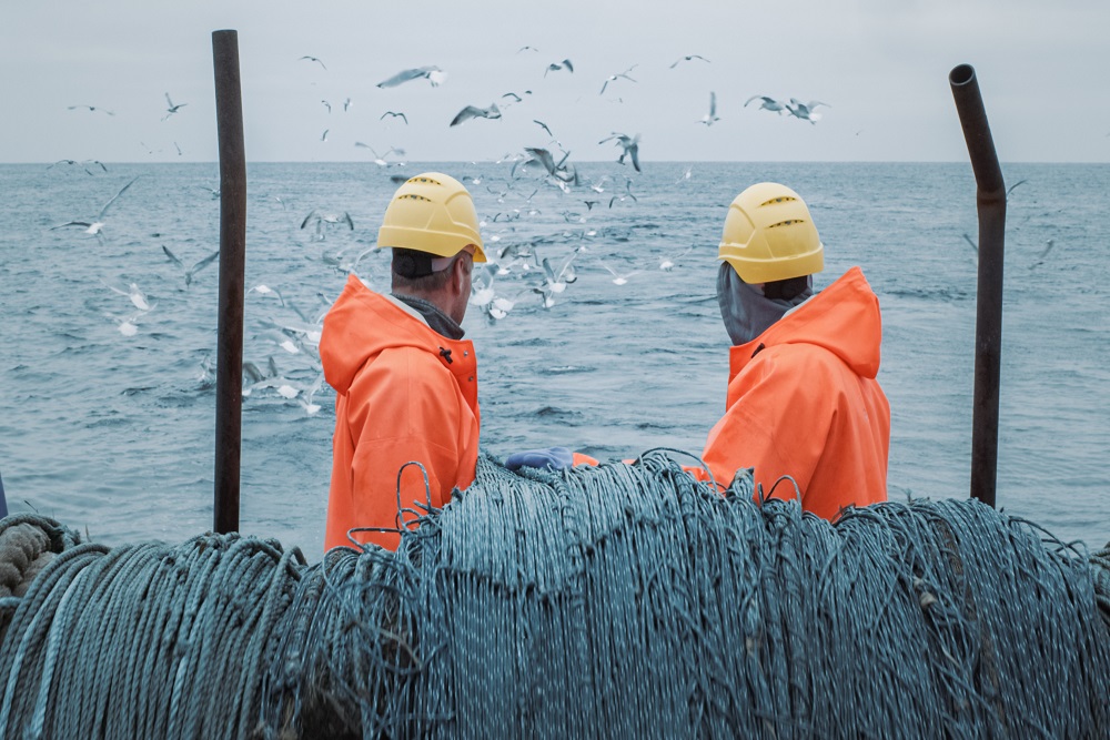 Fish meeting. Добыча рыбы в океане. Экипаж рыбаков. Экипаж рыбаки. Trawl.