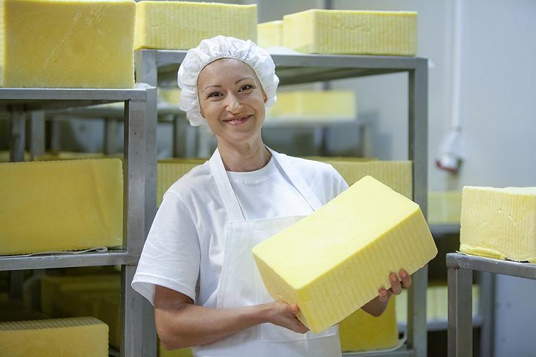 Завод по производству сыра на Кубани станет самым крупным в Европе