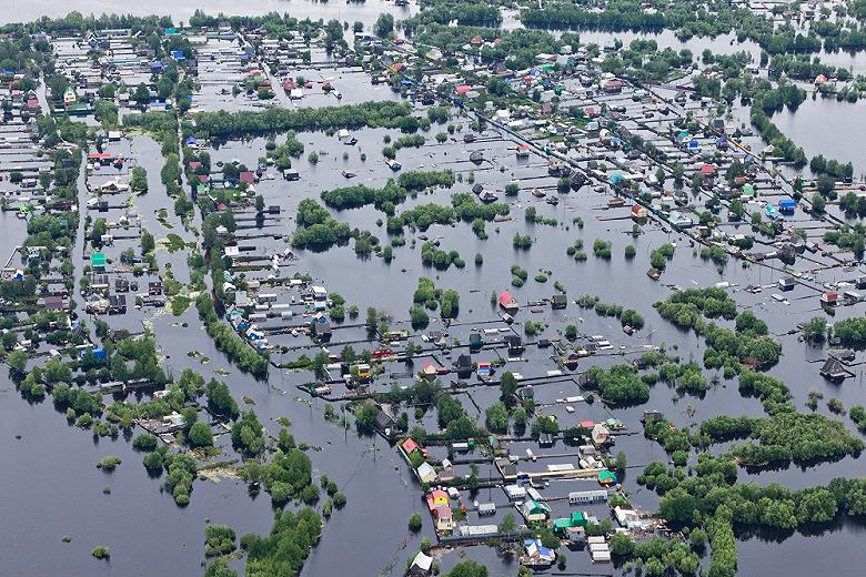В Приморье затоплено более 12 тысяч га сельскохозяйственных культур